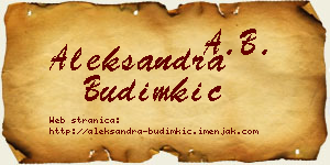 Aleksandra Budimkić vizit kartica